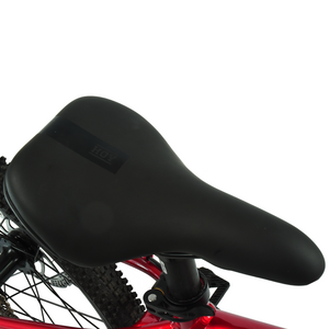 HOY Pentland 20"