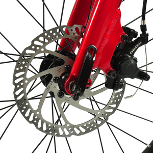 HOY Pentland 20"
