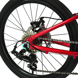 HOY Pentland 20"