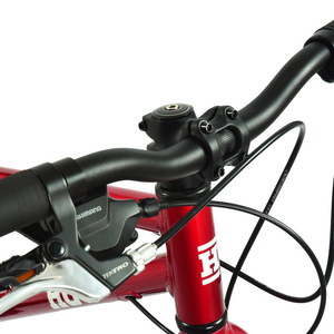 HOY Pentland 20"