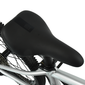 HOY Pentland 20"