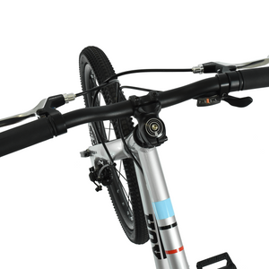 HOY Pentland 20"