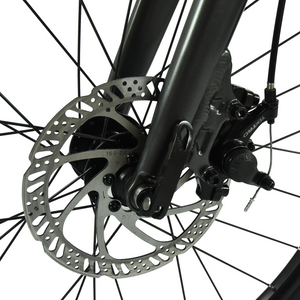 HOY Pentland 24"