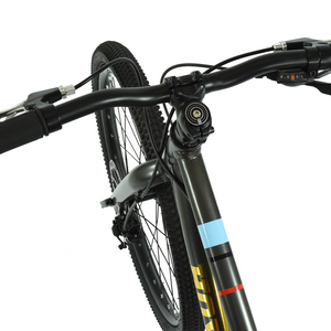 HOY Pentland 24"