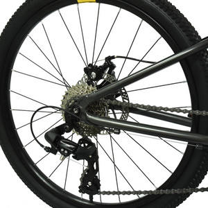 HOY Pentland 24"