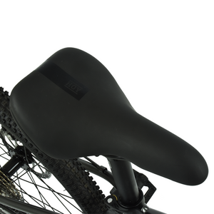HOY Pentland 26"