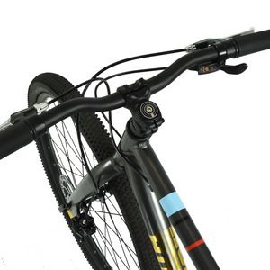 HOY Pentland 26"