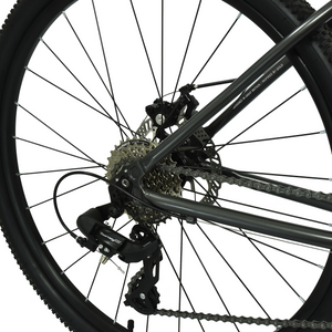 HOY Pentland 26"