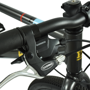 HOY Pentland 26"