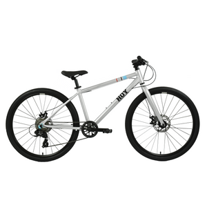HOY Pentland 26"
