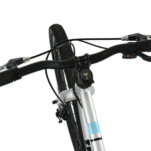 HOY Pentland 26"