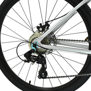 HOY Pentland 26"