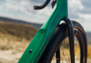Wilier Rave SLR ID2